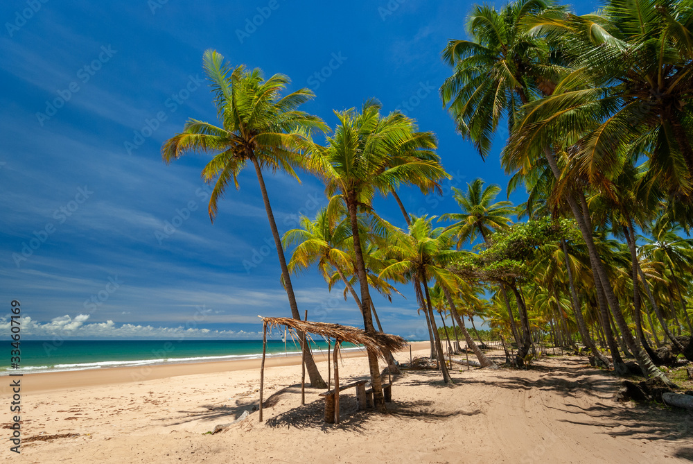 Taipu de Fora Beach, Penisula de Marau, Sunny day with coconut trees by the sea, on this beautiful and peaceful beach in southern Bahia, Brazil on February 23, 2008. Taipu de Fora Beach, Penisula de Marau, Sunny day with coconut trees by the sea, on this beautiful and peaceful beach in southern Bahia, Brazil on February 23, 2008.