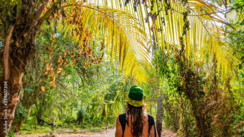 Young tourist man walking under palm trees in a tropical forest on top of a palm tree trunk in Tayrona National Park. Beautiful tall palm trees, sunny day and amazing natural landscape. photo