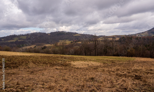 Fototapeta Naklejka Na Ścianę i Meble -  Meadow in mountains with forest and mountain peaks in background, Poland Beskidy