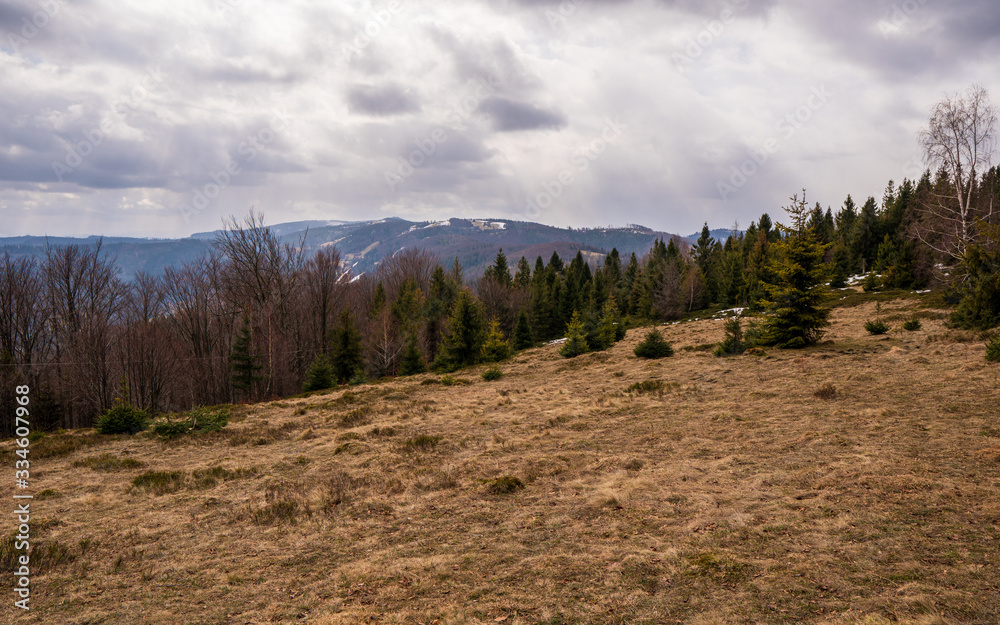 Meadow in mountains with forest and mountain peaks in background, Poland Beskidy