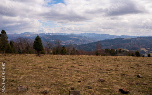 Fototapeta Naklejka Na Ścianę i Meble -  Meadow in mountains with forest and mountain peaks in background, Poland Beskidy