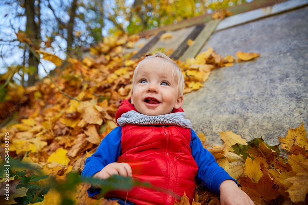 happy girl in the autumn forest happy girl in the autumn forest