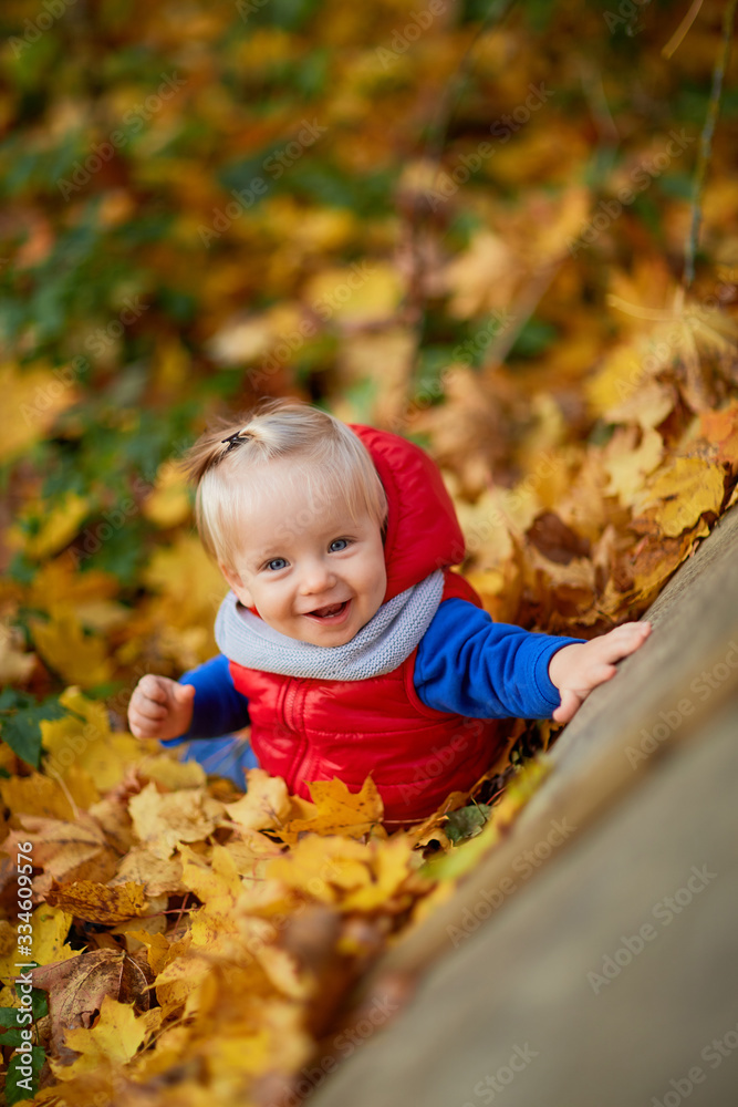 happy girl in the autumn forest happy girl in the autumn forest