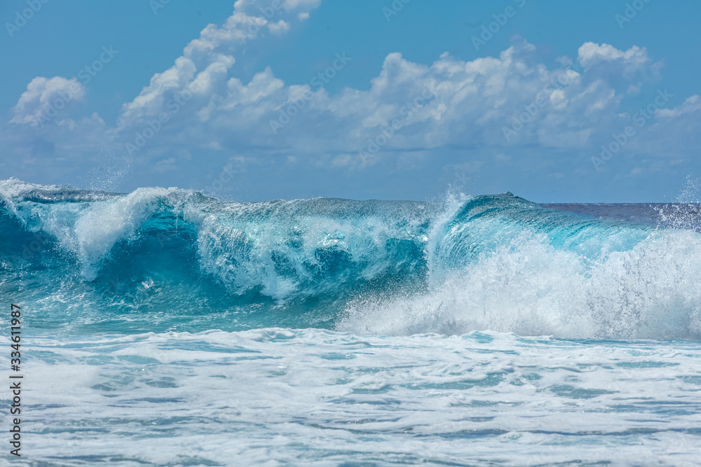 Fototapeta premium vague de Polynésie francaise