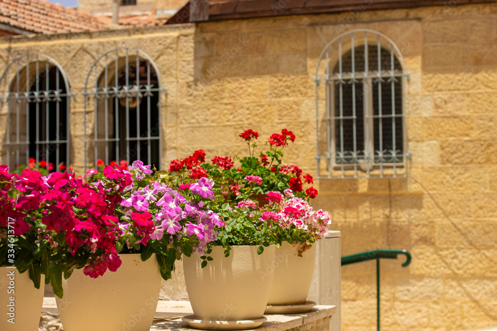 landscaping urban view old city street garden district vivid colorful flowers vases unfocused stone building background in spring sunny day