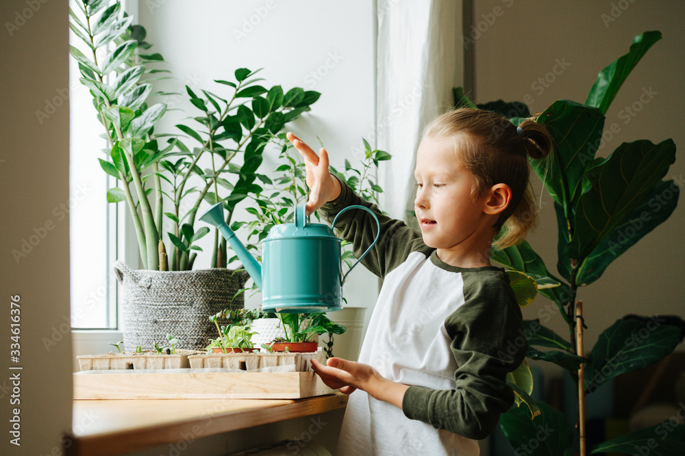 Curious 7 year old boy plays with watering can, next to a sill full of seedlings Curious 7 year old boy plays with watering can, next to a sill full of seedlings