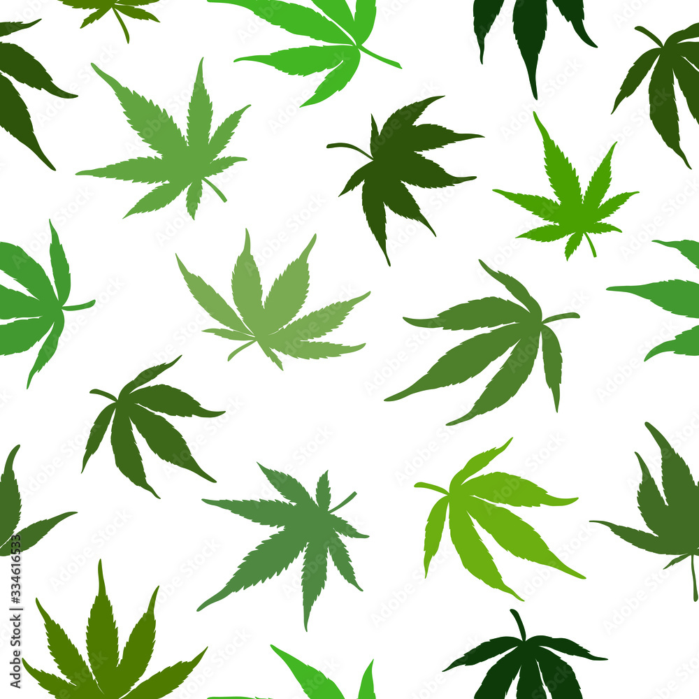 Seamless pattern of green cannabis leaves on a white background. Green hemp leaves. Vector illustration.The seamless cannabis leaf pattern on a white background.marijuana pattern