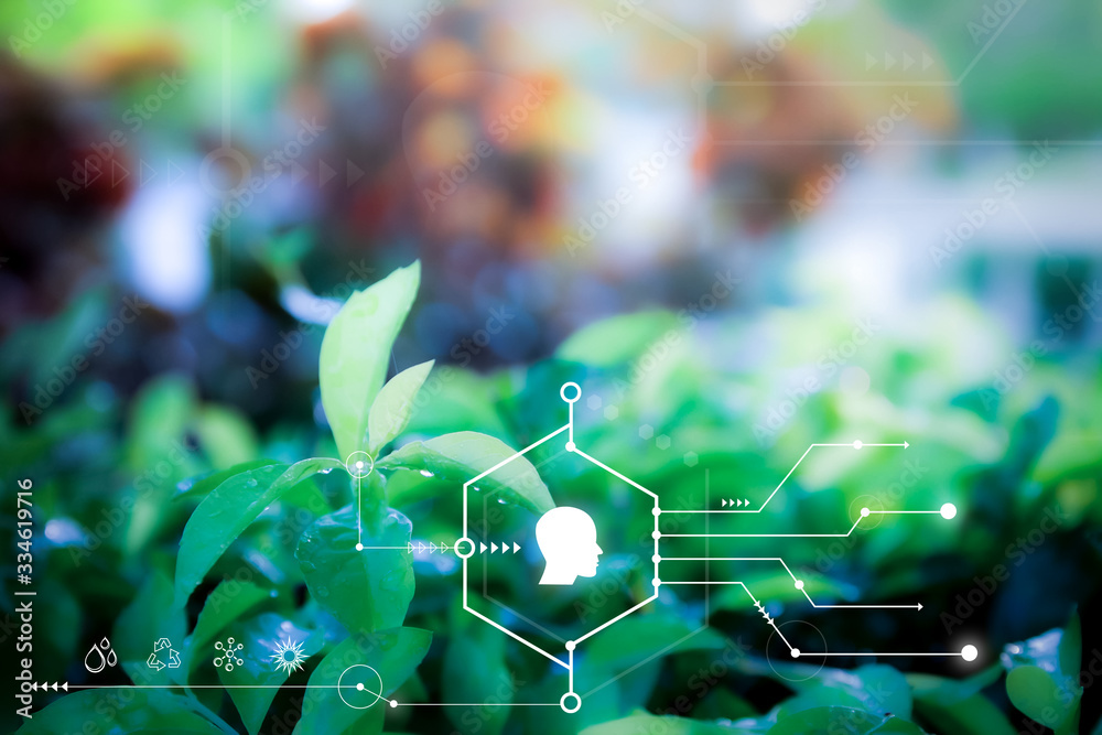 Smart technology with Internet of things futuristic agriculture concept. Analysis report with one finger click on digital screen. free space for text.  Blurred gentle artistic nature  background - obrazy, fototapety, plakaty 