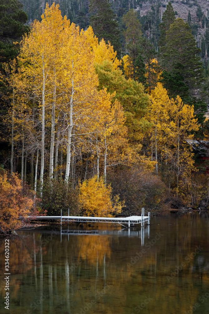 Fall Aspen Reflecting on Lake
