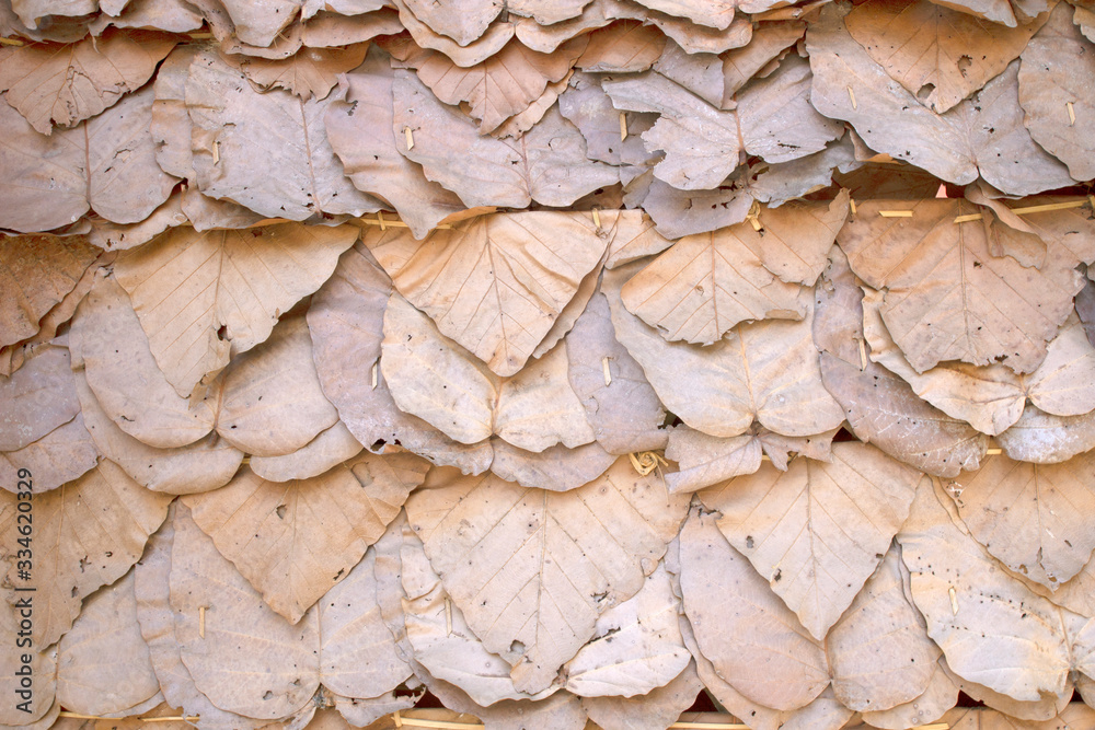 The background image is a dry leaf roof. The background image is a dry leaf roof.