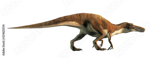 Baryonyx was a large carnivorous spinosaurid theropod dinosaur that lived in Cretaceous era Europe. It likely at fish and was semi-aquatic. On a white background. 3D Rendering  © Daniel Eskridge