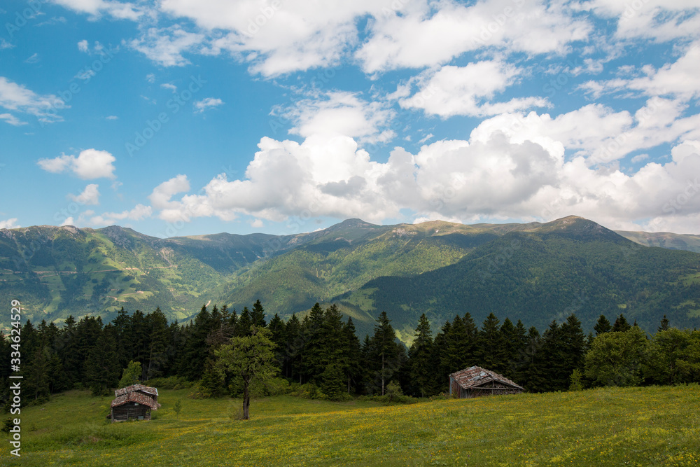 Trabzon's former highland houses and trees and spectacular views of the mountain scenery of nature in turkey