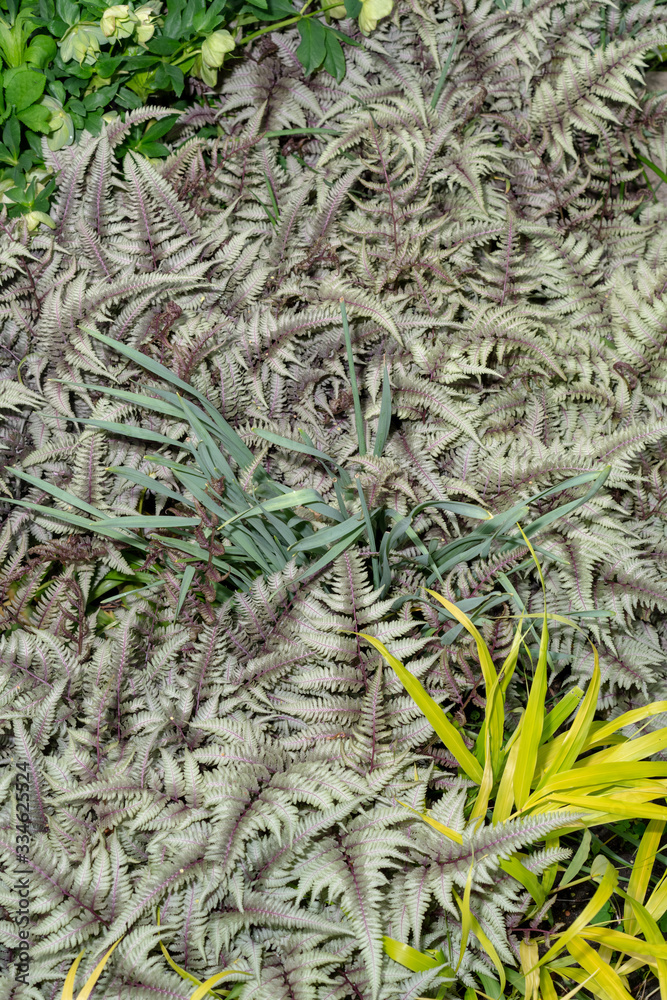 Naklejka premium closeup of plants
