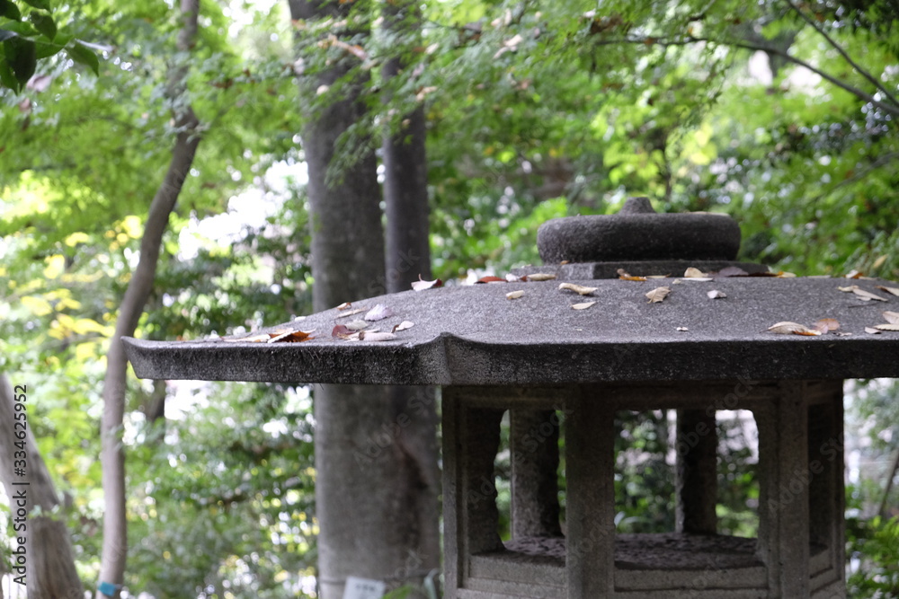 日本庭園 木漏れ日の下の石灯籠 Stone lanterns in a traditional Japanese garden (Tokyo, Japan) 日本庭園 木漏れ日の下の石灯籠 Stone lanterns in a traditional Japanese garden (Tokyo, Japan)