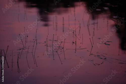 abstract lake background