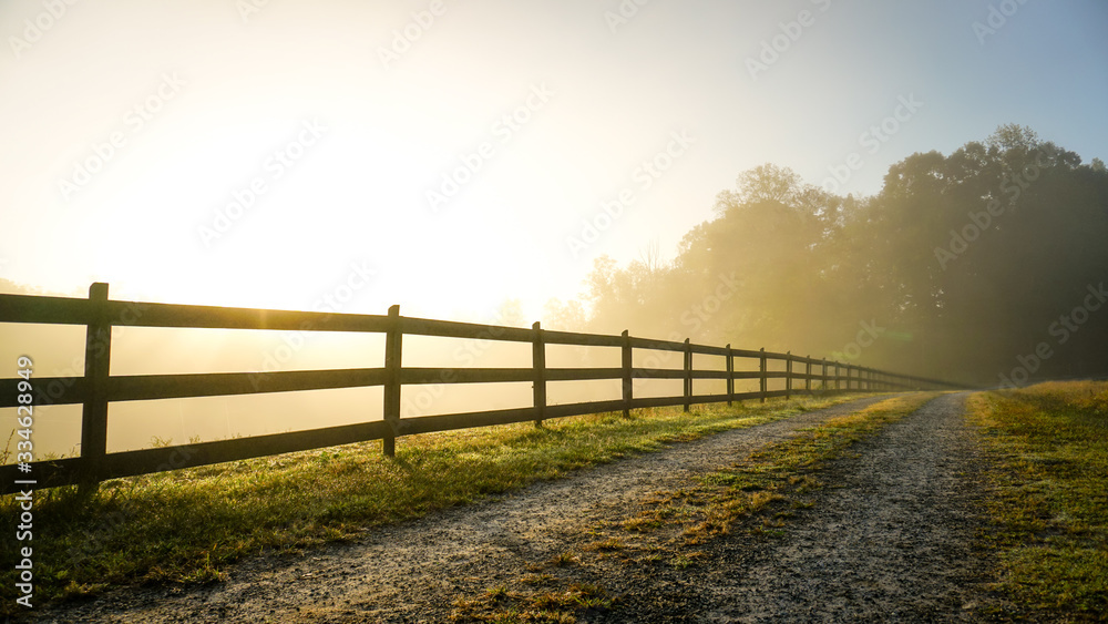 Foggy Country Road at Sunrise