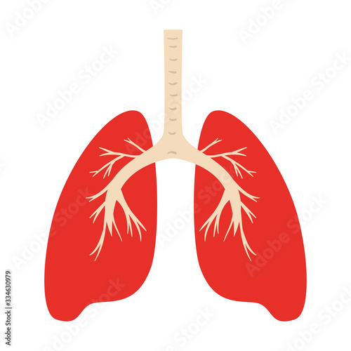 human lungs organ isolated icon vector illustration design