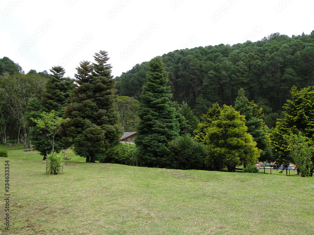 Fototapeta premium Paisagem
