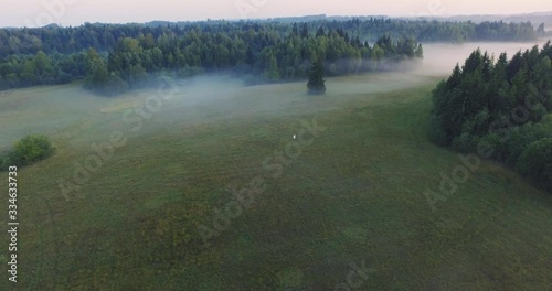 Early morning in countrside