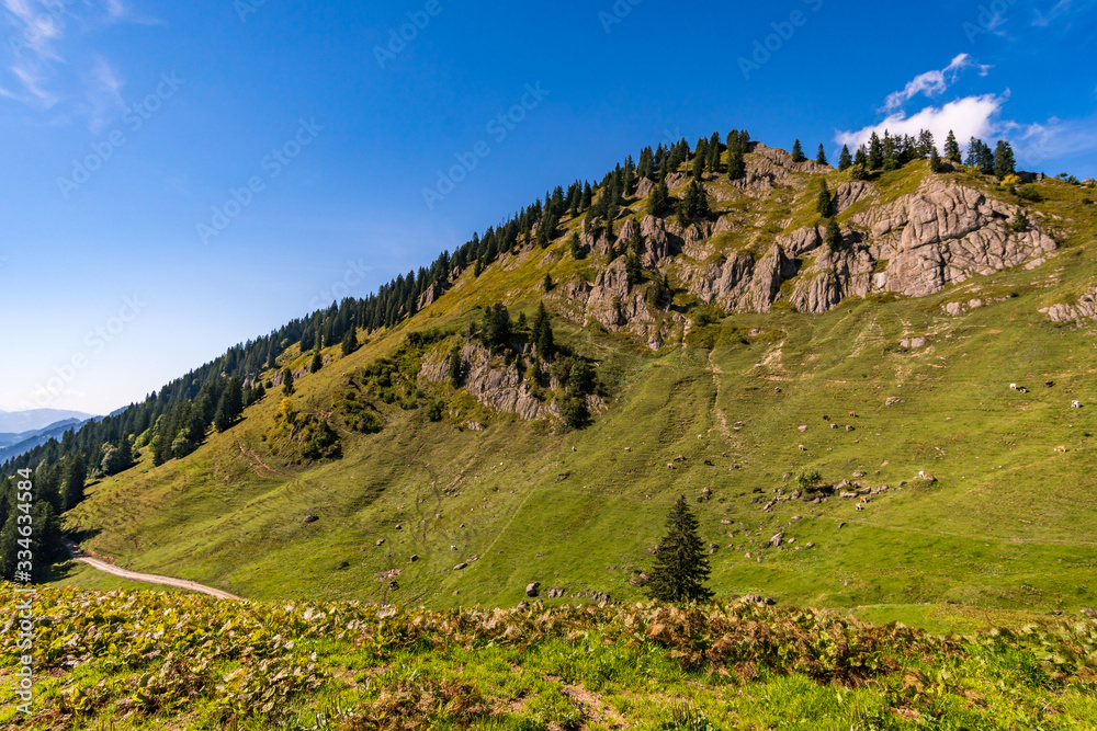 Fototapeta premium Fantastic hike at Balderschwang