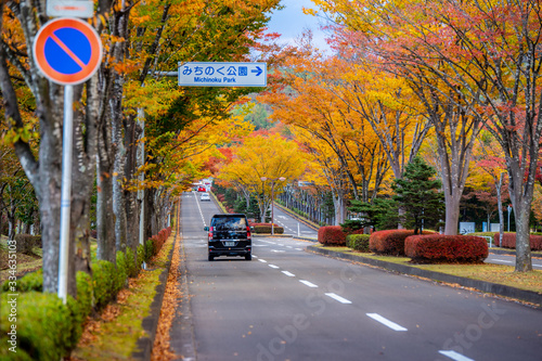 Michinoku park, Sendai, Japan - October 25, 2017 : Peak period of autumn season for this wonderful road  in Japan. There are beautiful fall foliage view in Tohoku.