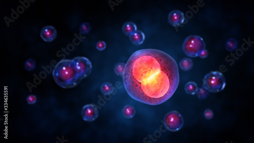 3D illustration of stem cells,Organisms,Cell division,Medicine scientific concept.