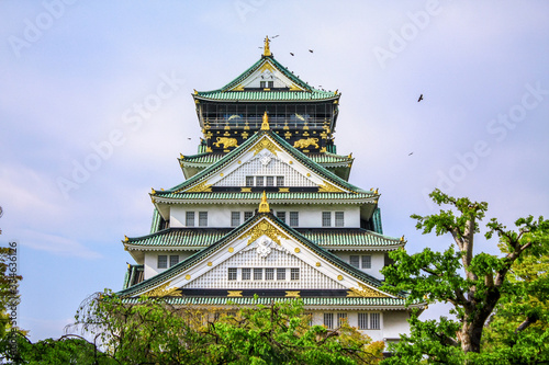 Osaka castle  the most famous landmark in Osaka  Japan.