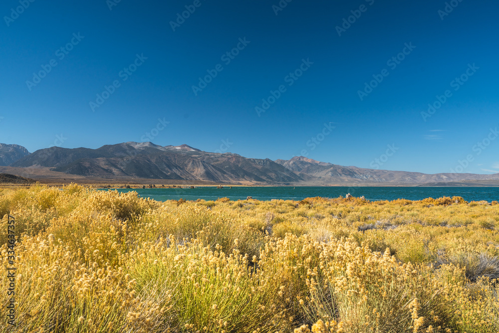 Mono Basin fall colors. Autumn at Mono Lake Tufa State Natural Reserve, California