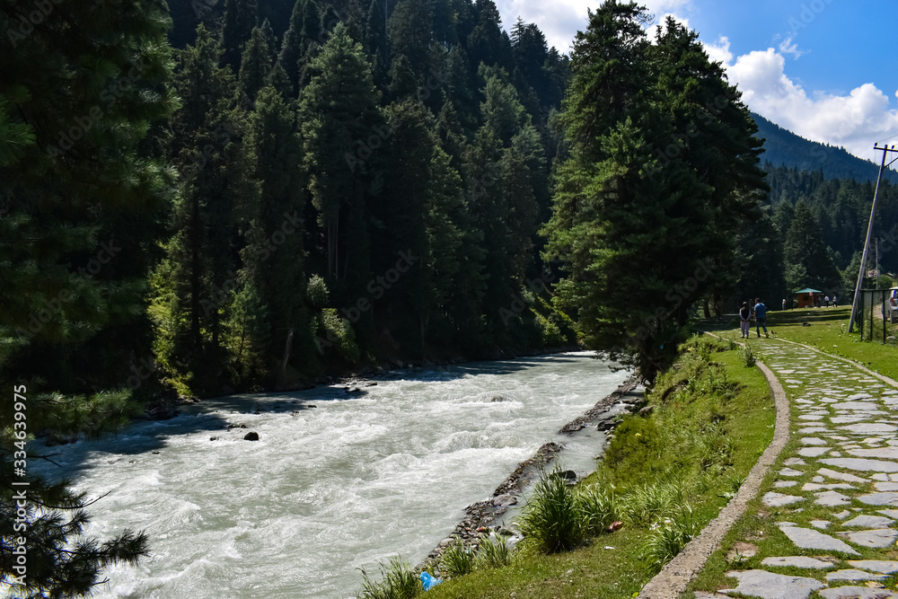 A view of a water stream at Pahalgam Kashmir India. A view of a water stream at Pahalgam Kashmir India.