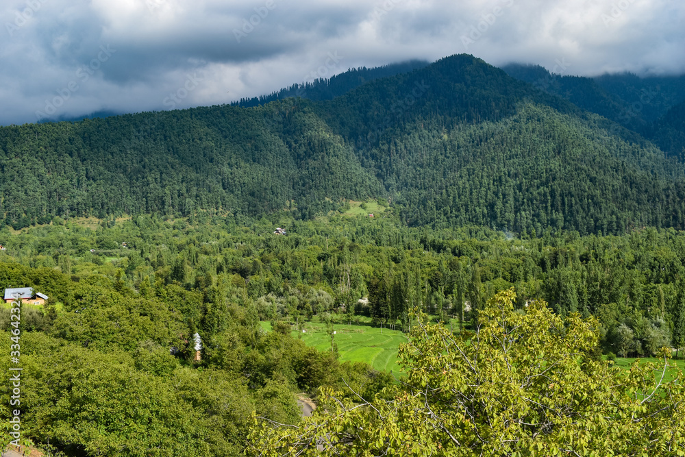 landscape in the mountains