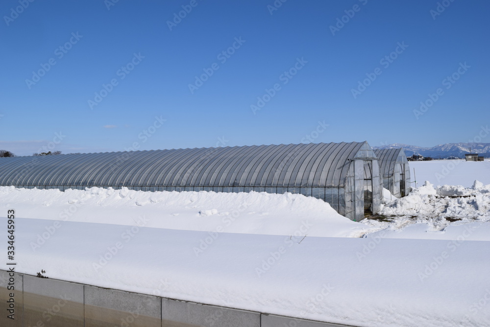 雪の中のビニールハウス 雪の中のビニールハウス
