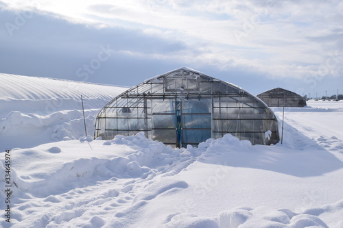 雪の中のビニールハウス © FRANK