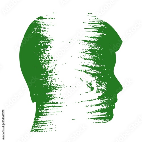Double exposure portrait of young man. Nigeria flag design concept. Flag textured by grungy wood pattern. Image relative to travel and politic themes
