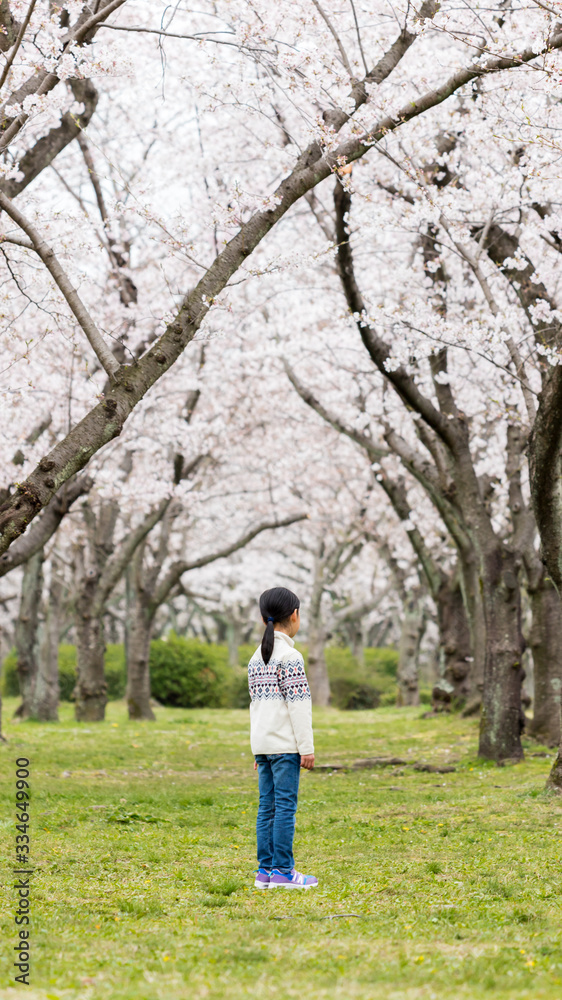 春の満開の桜の公園で遊んでいる可愛い子供