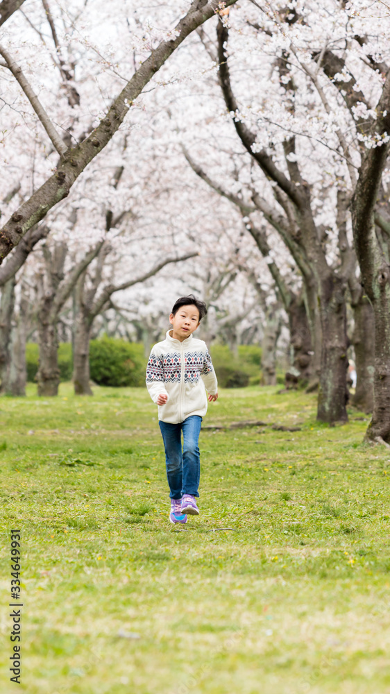 春の満開の桜の公園で遊んでいる可愛い子供 春の満開の桜の公園で遊んでいる可愛い子供