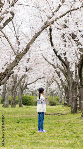 春の満開の桜の公園で遊んでいる可愛い子供 © zheng qiang
