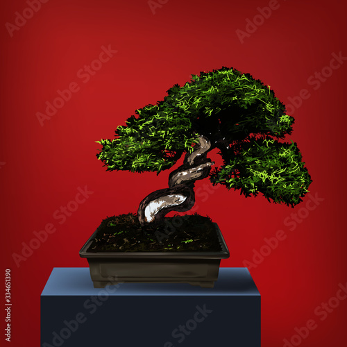 Bon Sai Tree Real Vector Illustration