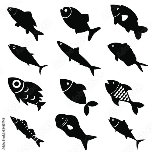 Photography fish icon vector set isolated on white background