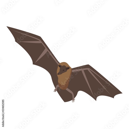 Flying bat icon. Isometric of flying bat vector icon for web design isolated on white background