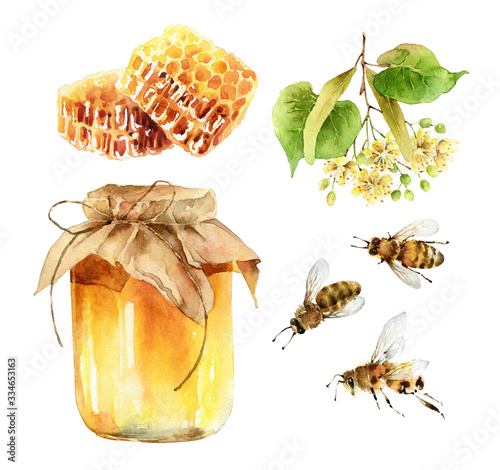 Watercolor honey set of design elements on white background