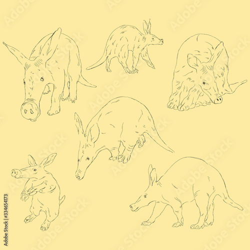 Simple Animal Aardvark. Hand Drawn Sketch Set