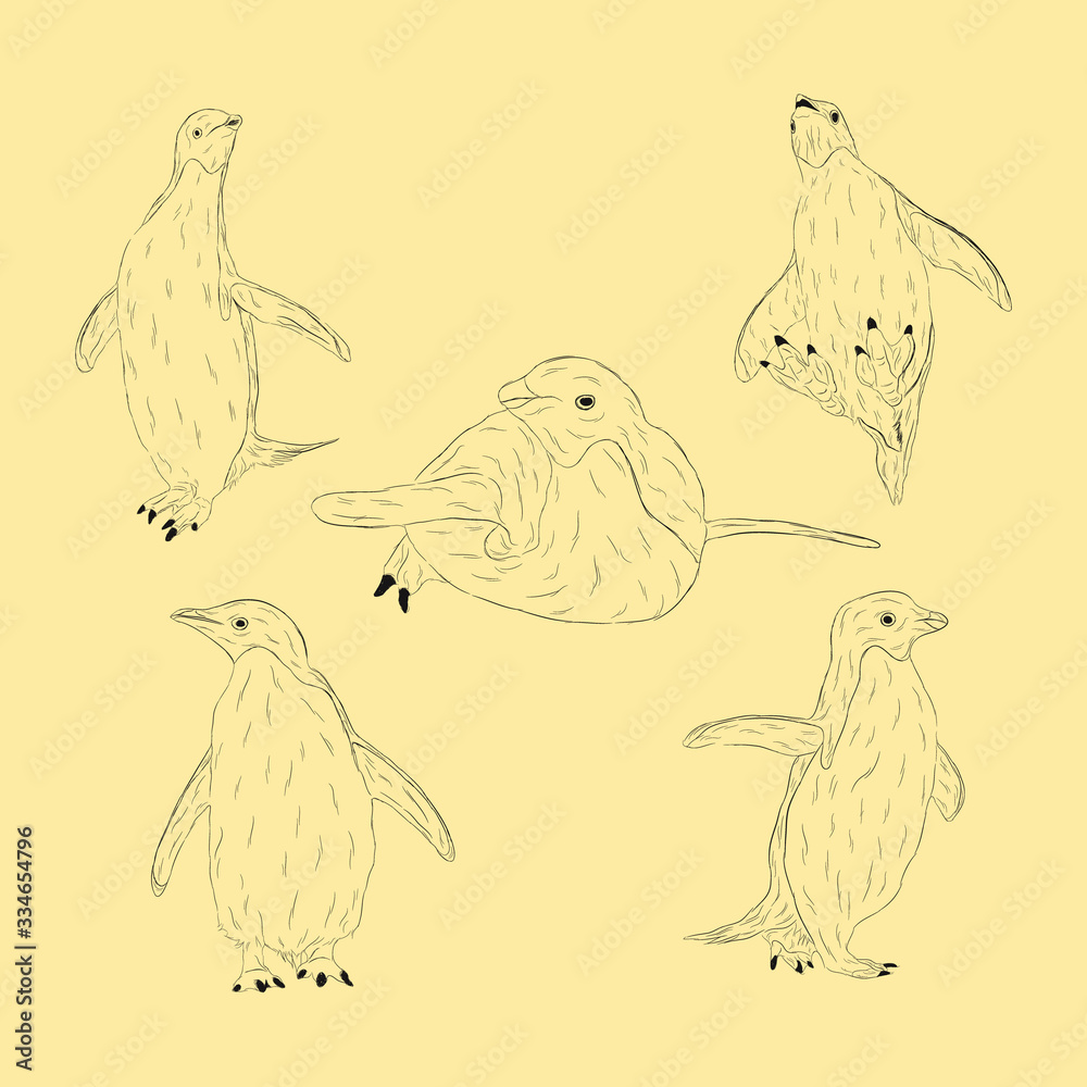 Simple Animal Adelie Penguin. Hand Drawn Sketch Set Simple Animal Adelie Penguin. Hand Drawn Sketch Set