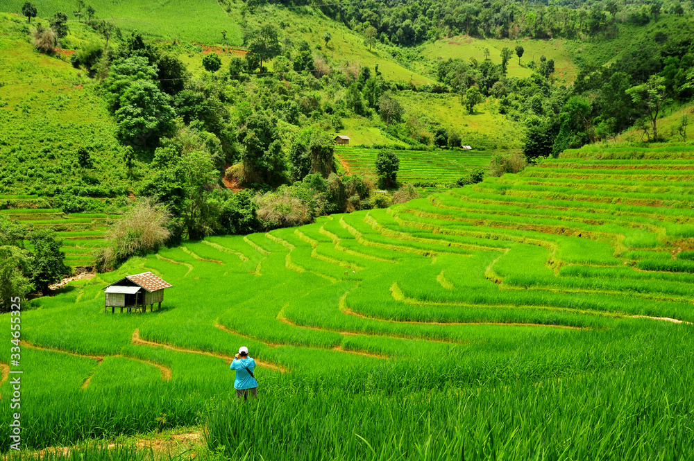 Green Terraced Rice Field in Mae Long House