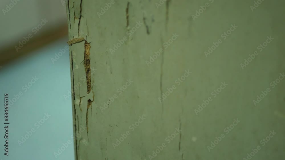 Close-up view of the termites damage on house wooden column Close-up view of the termites damage on house wooden column