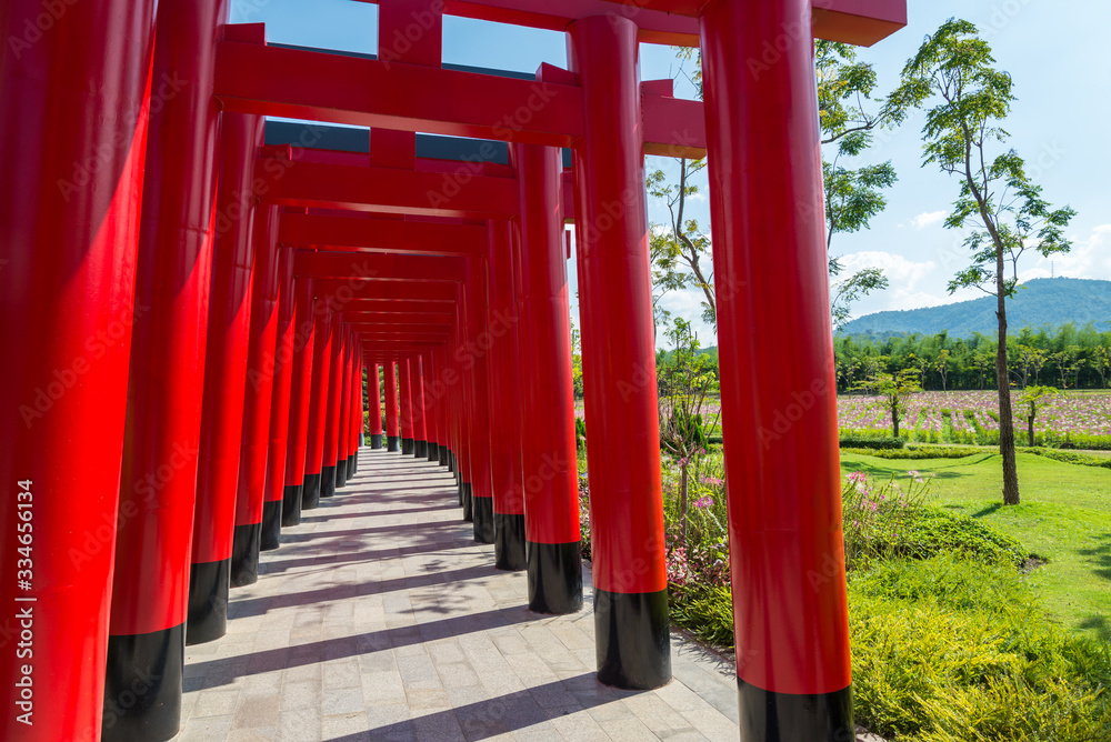 Red torii gate tunnel in Japanese zen garden with blue sky background in sunny day. Little Japan town famous destination in Chiang mai Thailand. Red torii gate tunnel in Japanese zen garden with blue sky background in sunny day. Little Japan town famous destination in Chiang mai Thailand.