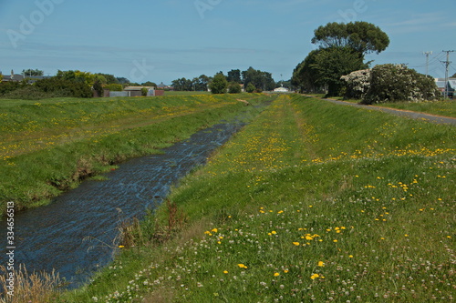 Otepuni Stream in Otepuni Gardens in Invercargill,Southland on South Island of New Zealand photo