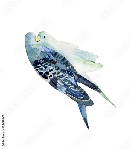 couple. Blue and white kissing parrots. Touching and delicate art work is perfect for interior decorationon or design of greeting cards and wedding invitations. photo