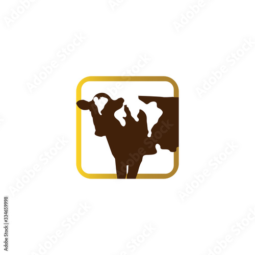 cattle angus beef holstein cow logo design vector Livestock logo template illustrations