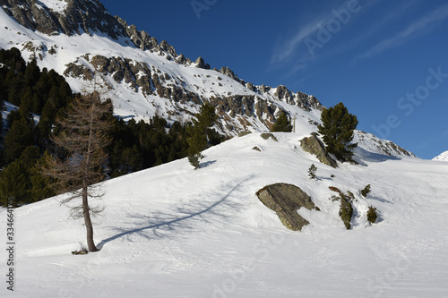 Staller Sattel, verschneit, zugeschneit, Osttirol, Tirol, Winter, Jahreszeit, Schnee, Eis, Schneedecke, Wald, Alpen, Villgrater Berge, Defereggen, Deferegger Alpen, Grenze, Österreich, Italien, Südtir photo