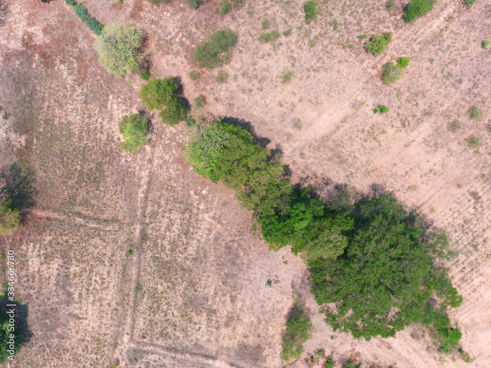 UAV Aerial top view forest tree drougth dry rain 